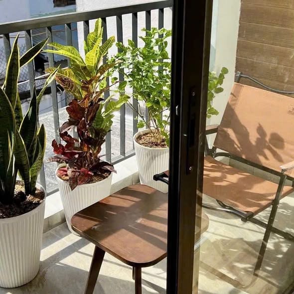 Apartment - 1 Bedroom - Nguyen Cong Tru Street