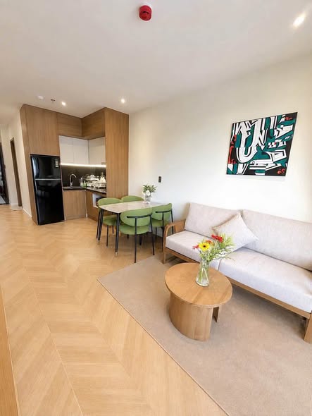 Apartment - 2 Bedroom - Vo Nguyen Giap Street
