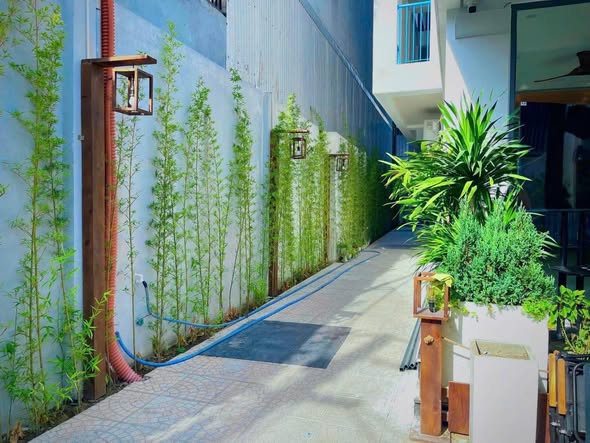 Apartment - 1 Bedroom - Ha Thi Than Street