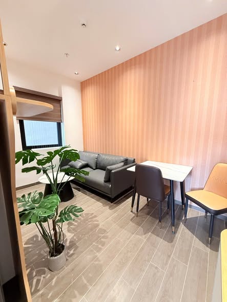 Apartment - 1 Bedroom - Son Thuy 8 Street