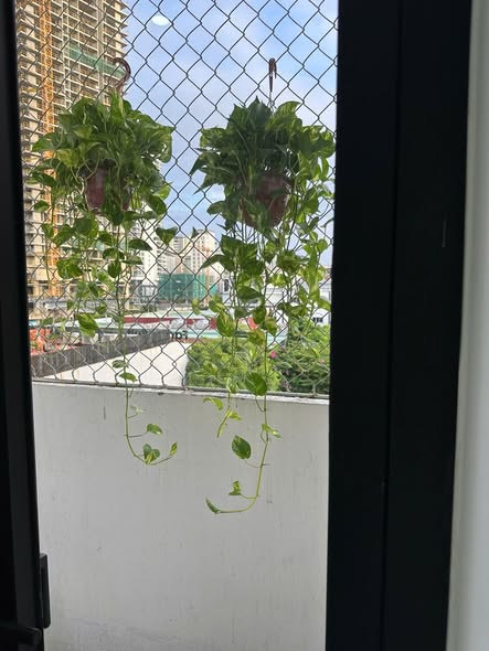 Apartment - 2 Bedroom - Pham Thieu Street