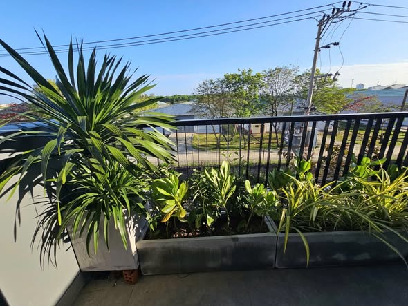 Apartment - 2 Bedroom - Khue My Dong 14 Street