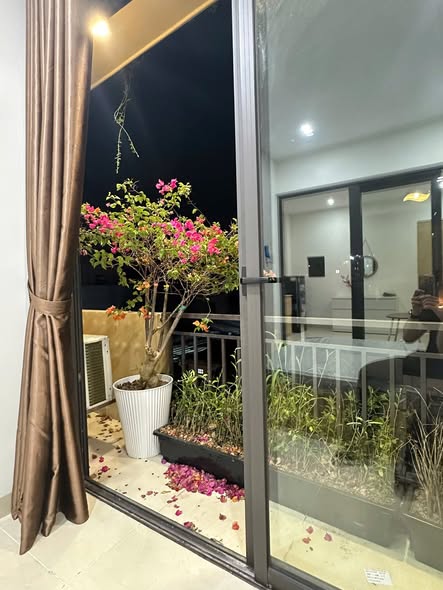 Apartment - 1 Bedroom - Ho Bieu Chanh Street